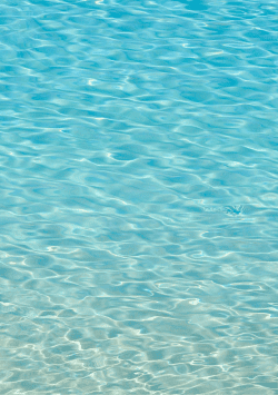水
